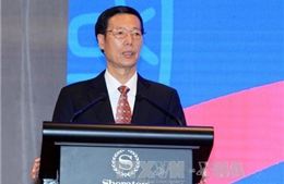 Phó Thủ tướng Quốc vụ viện Trung Quốc gặp gỡ nhân sĩ hữu nghị
